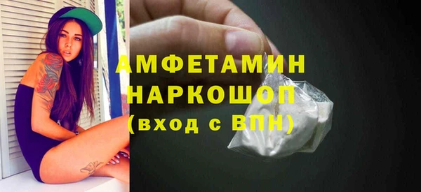 стаф Аркадак