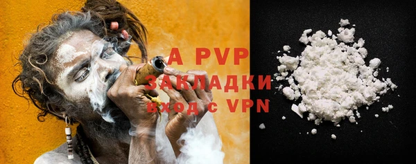 стаф Аркадак
