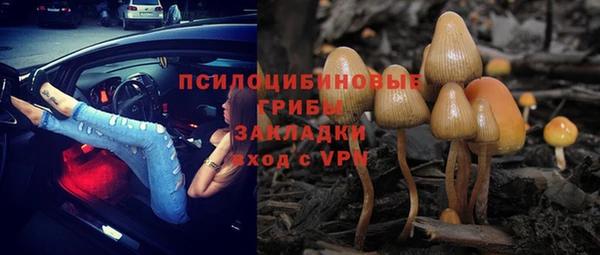 а пвп мука Балабаново