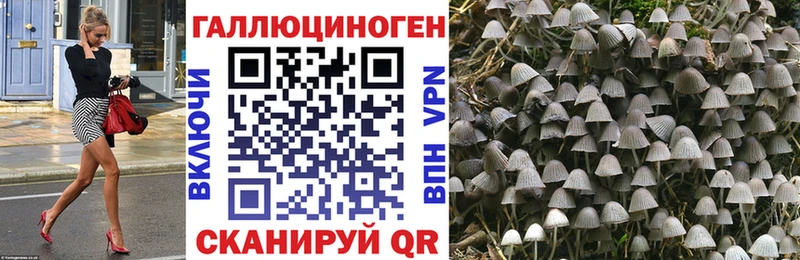 Псилоцибиновые грибы прущие грибы  Иннополис 